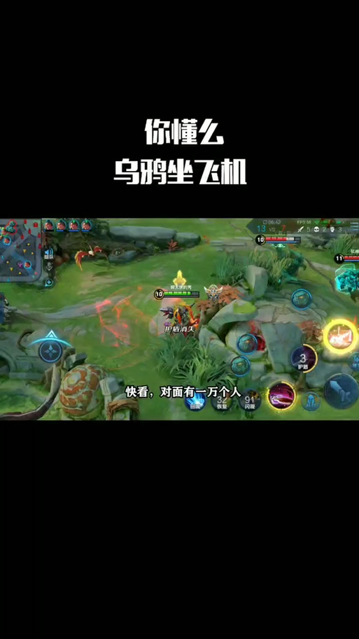 乌鸦坐飞机王者荣耀是什么意思