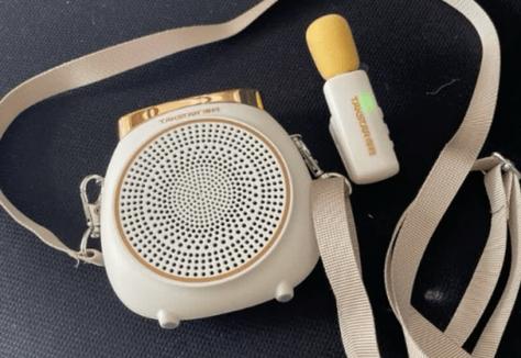 小蜜蜂扩音器什么品牌质量好