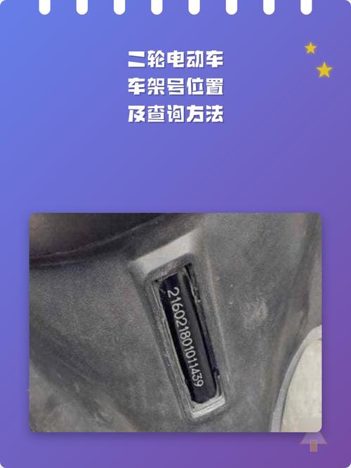 飞鸽电动自行车车架编码在哪