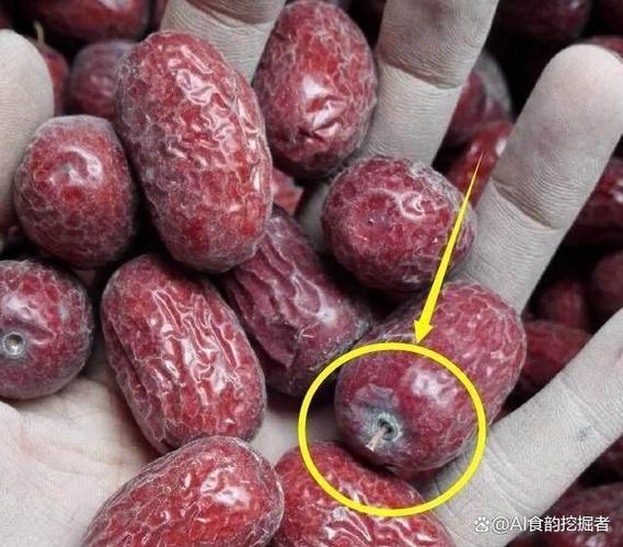 红枣干保质期一般是多久