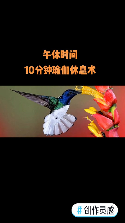 瑜伽休息术引导词