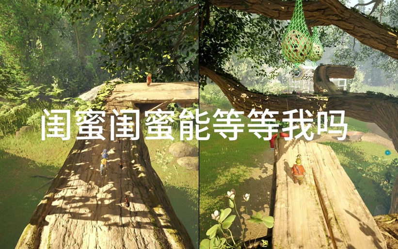 《全民双人树屋求生》