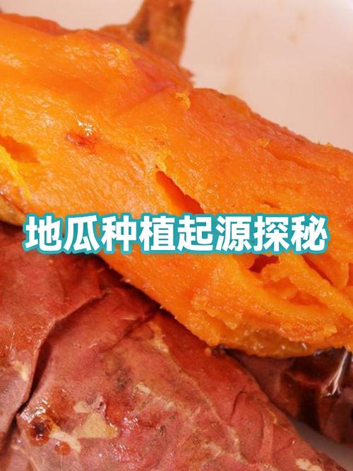 番薯的起源和含义