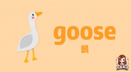 goose什么意思怎么读