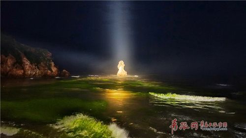 夜间模式有用吗