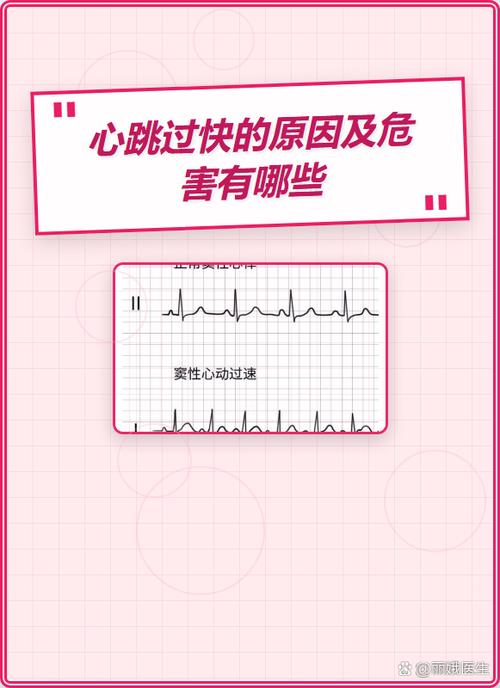 心率过快会有什么后果