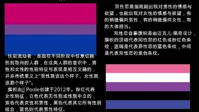 -1是什么性取向