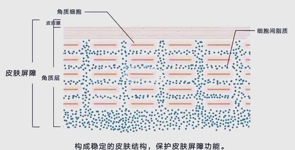 脸部屏障受损最快修复办法图标