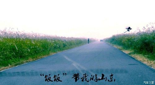 饭饭论坛