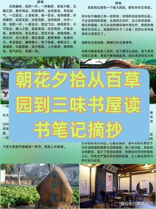 百花盛放小说阅读