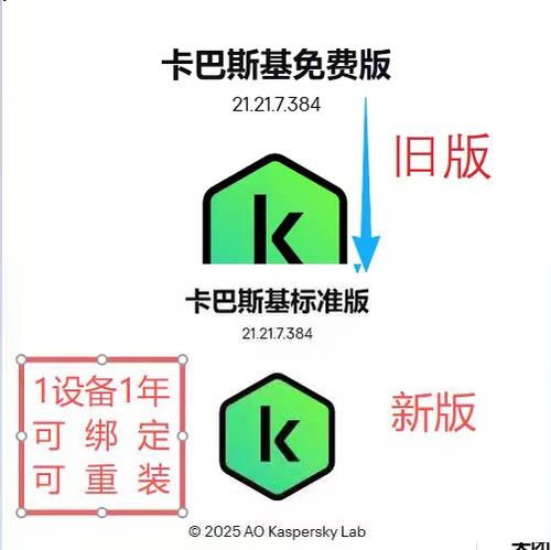 卡巴斯基买什么版本截图