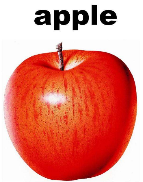 apple的音标