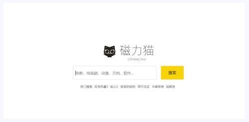 猫咪网页版需要账号的