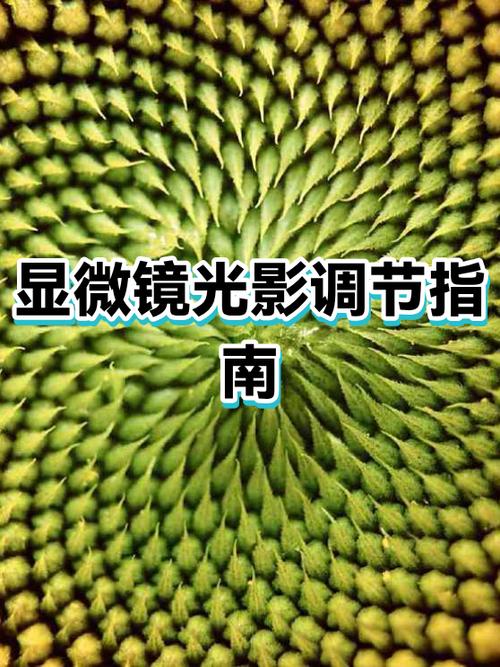 苹果手机拍照突然变暗缩略图