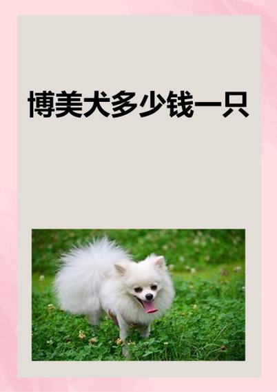 狗狗回血繁殖公式表