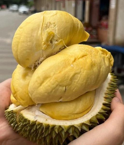 榴莲什么形状的最好