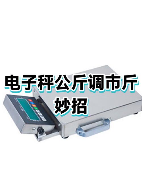 电子公斤秤怎样调变市斤秤缩略图