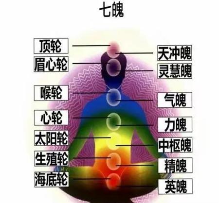 七脉轮测试官网入口