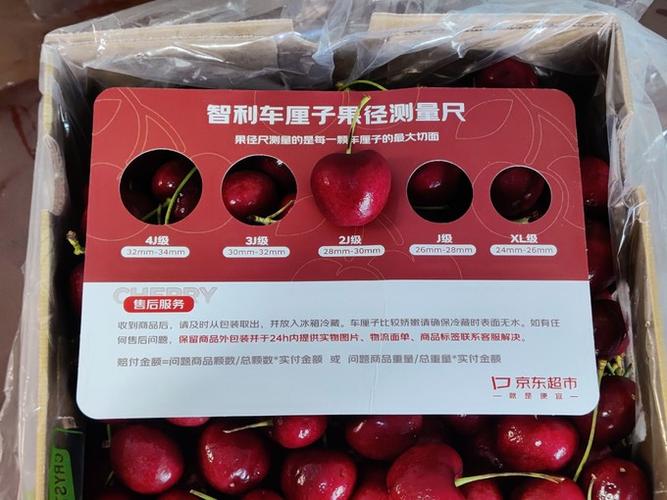 车厘子尺寸 测量工具