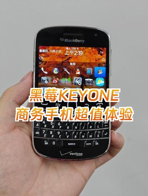 黑莓有什么寓意
