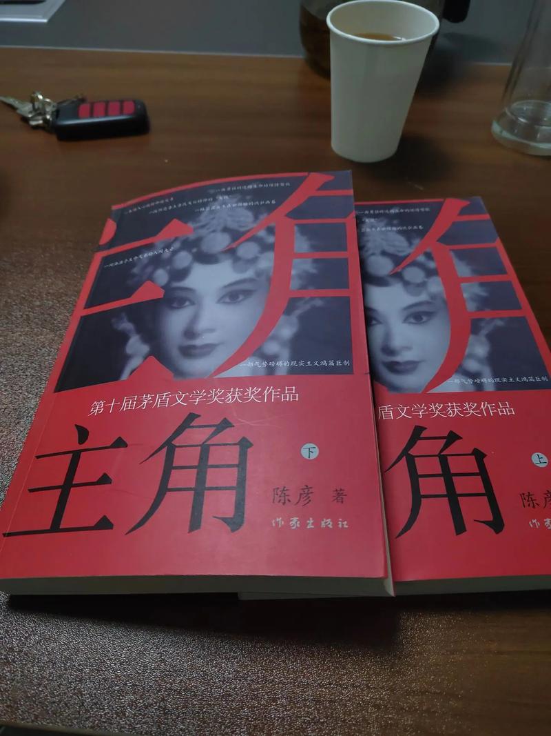 主角叫叶枫的透视小说