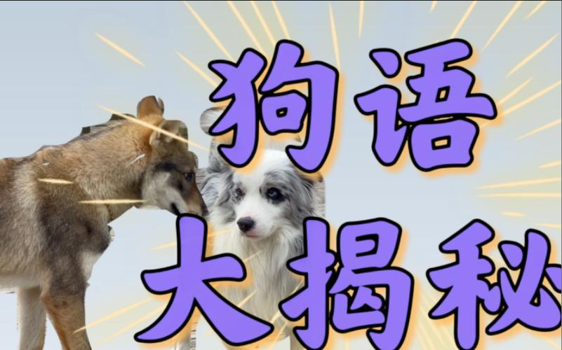狗狗声音翻译器app