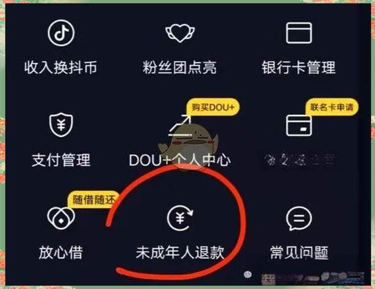 抖音钻和币什么区别