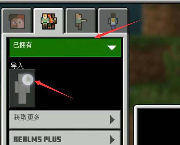 mc国际服怎么导入皮肤