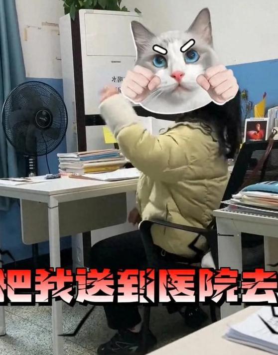 一消太难了,要学疯了