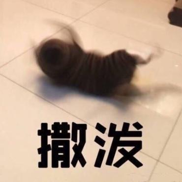 打滚表情缩略图