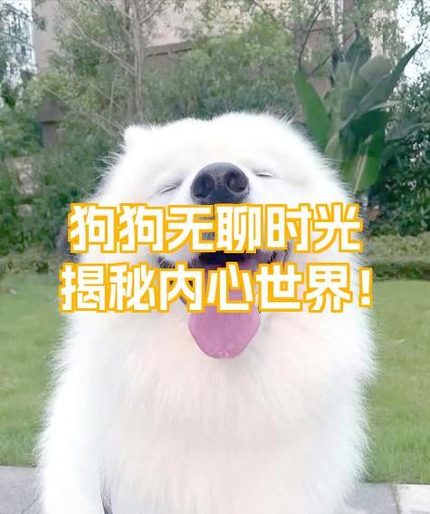 无聊时可以做哪些事情