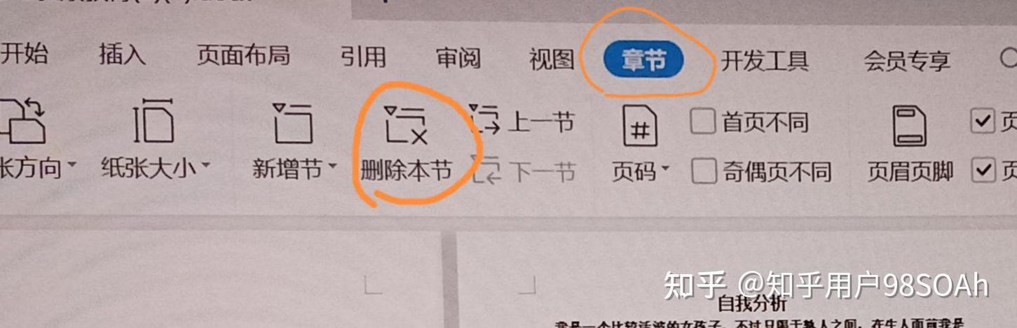 wps分节符(下一页)删不掉