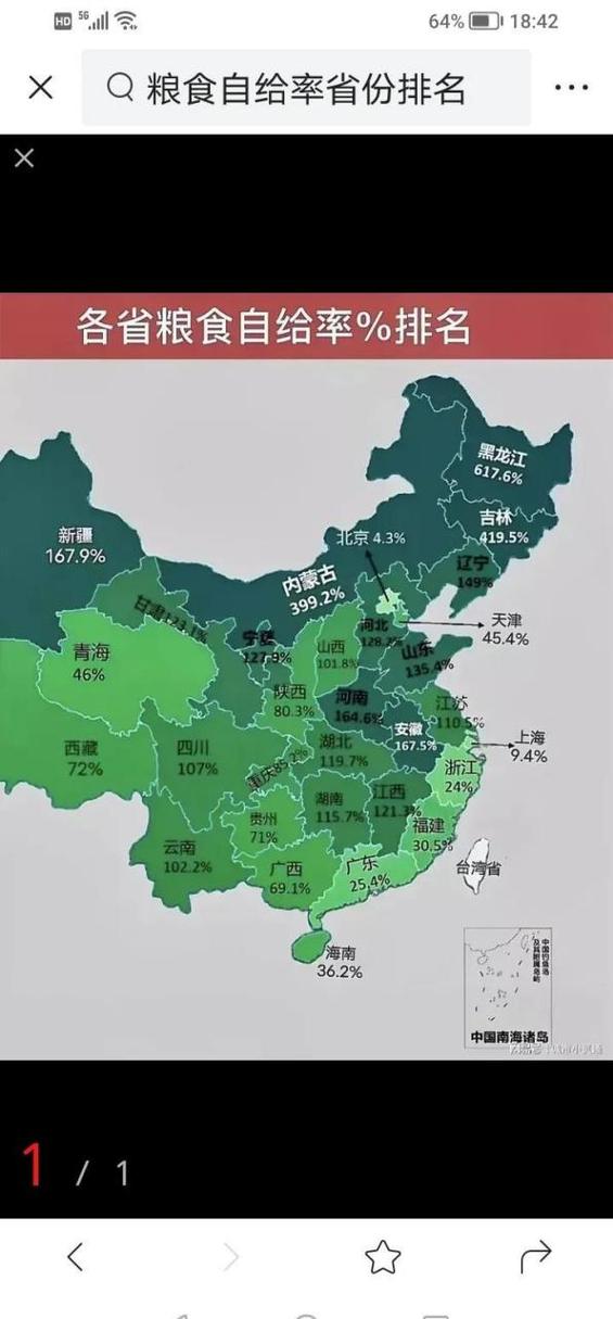 中国粮食自给率