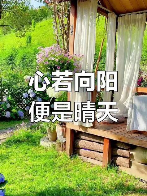 心若向阳便是晴天截图