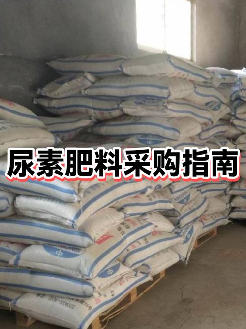 洛克王国农场肥料在哪买游戏截图