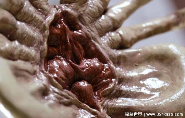 抱脸虫产卵图标