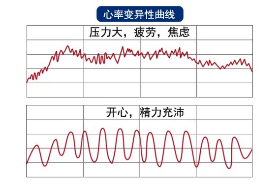 小米手环24小时心率图