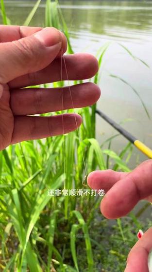 公认不打卷的子线