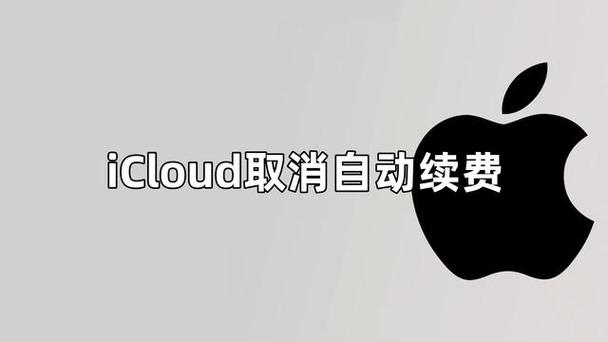 icloud每月6元是什么意思