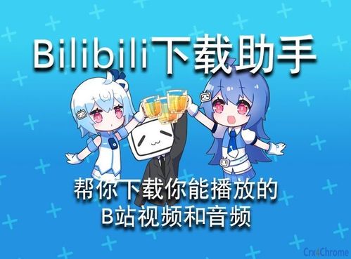 b站安卓平板横屏模式图标