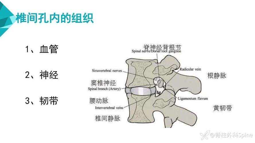 图解实用骨科缩略图