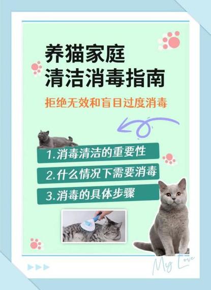 为啥家里不让养三只猫缩略图