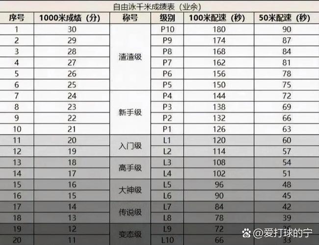 1000米自由泳swolf指数图标
