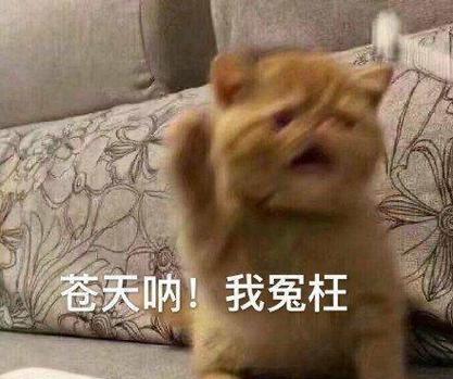 大人我冤枉