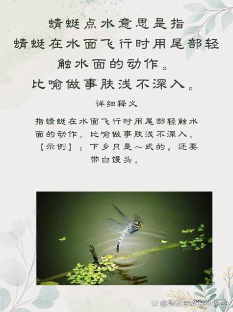 蜻蜓辅助是什么意思游戏截图