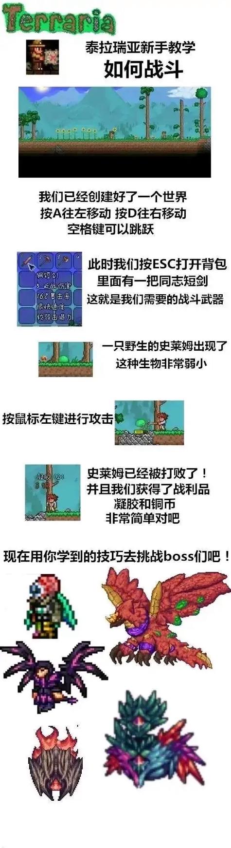 泰拉瑞亚灾厄调时间的道具