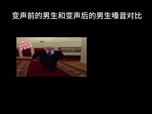 变音器男生声音缩略图