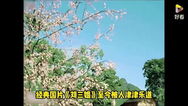 刘三姐全集1一14集