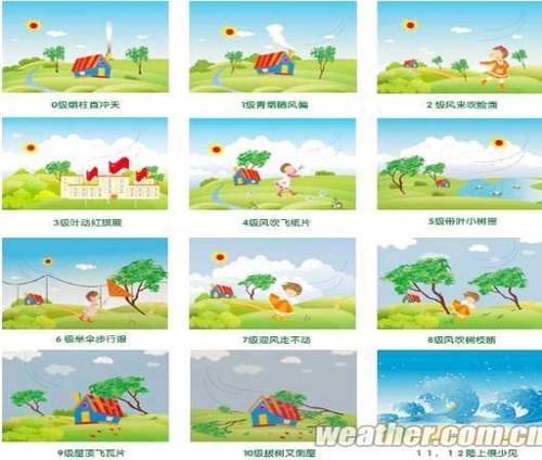 小树轻摇指的是五级风对吗截图