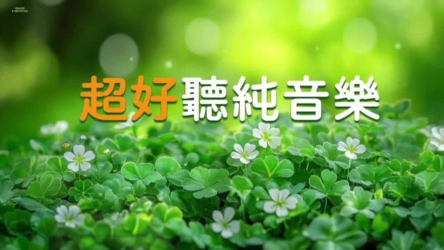 放松音乐舒缓压力缓解焦虑缩略图